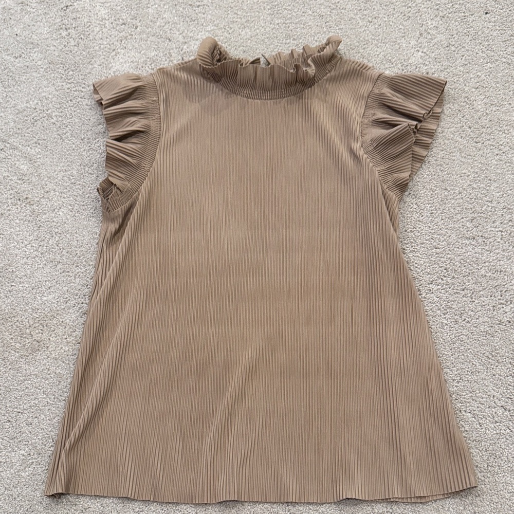 Zara Pleated Beige Top